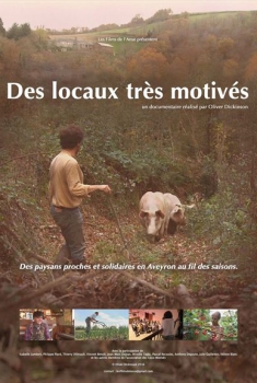 Des locaux très motivés (2015)