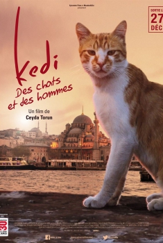 Kedi - Des chats et des hommes (2017)